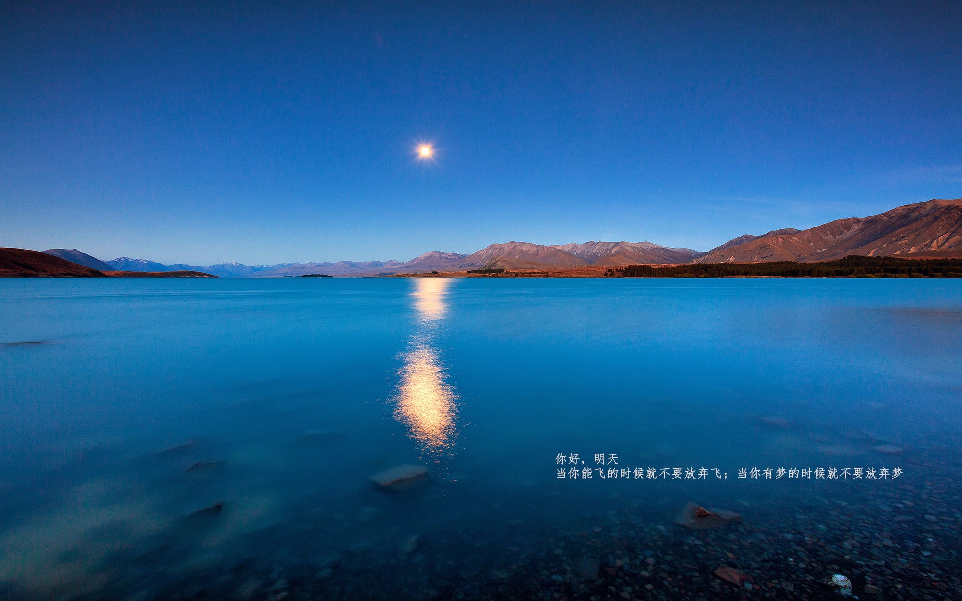 开云官方-WRC争夺战：不容错过的精彩瞬间回顾，wrc比赛规则