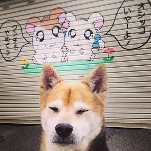 Kaiyun(中国)开云-《纽约邮报》：巴西女足在奥运会决赛中惜败美国，奥运会足球巴西女足