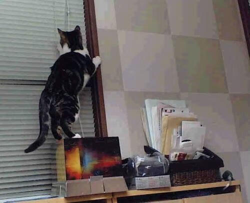 开云官网APP下载-电竞直播平台观看时长创新纪录，电竞直播平台排行