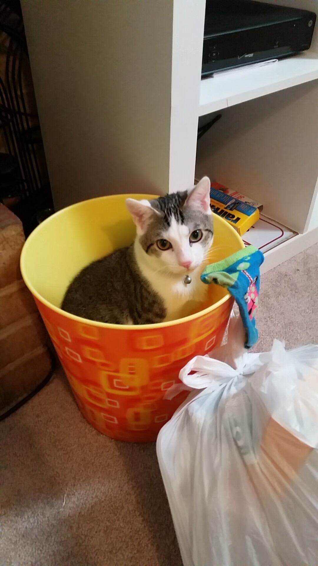 开云官方网页登录-英雄联盟青春杯赛激情开幕,年轻战队崭露头角,英雄联盟 青春