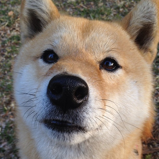 kaiyun体育综合-女足世界杯技术统计出炉,女足世界杯名次