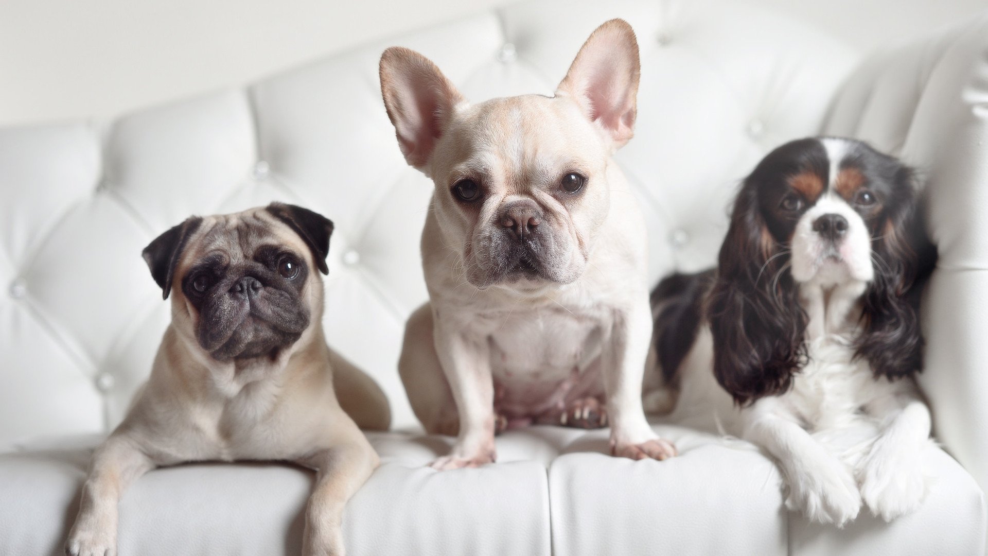 开云网站-格勒鲁斯主场遭遇失利，排名位置下滑，格德斯鲁能进球视频