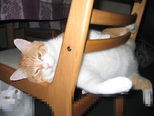 开云中国-率先取得优势，谁将掌握胜利的主动权？，率先成势