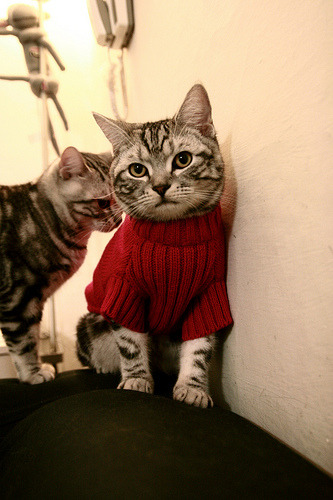 开云官方网站-皇家社会客场告捷，晋级希望渺茫，皇家社会ds