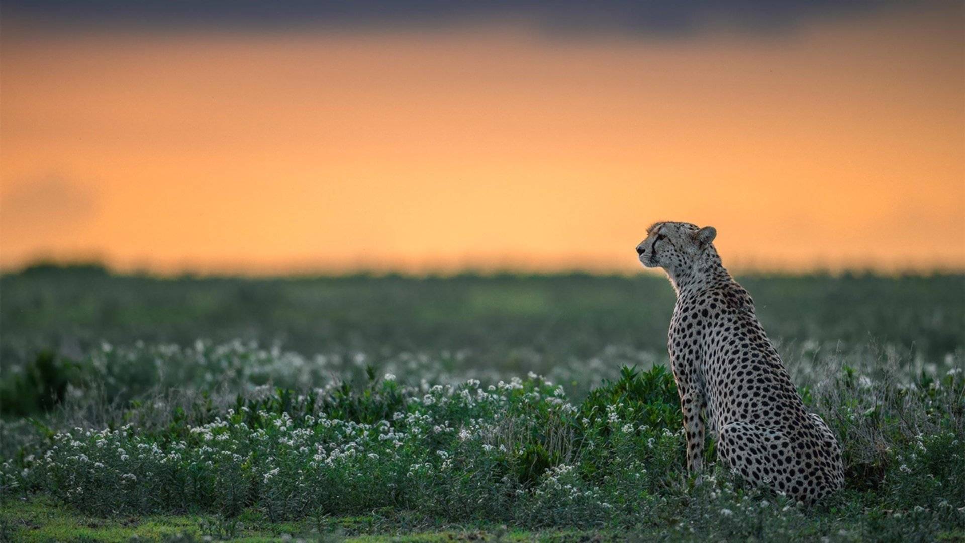 kaiyun官方网站-职业篮球运动员伤病管理，篮球运动员受伤类型