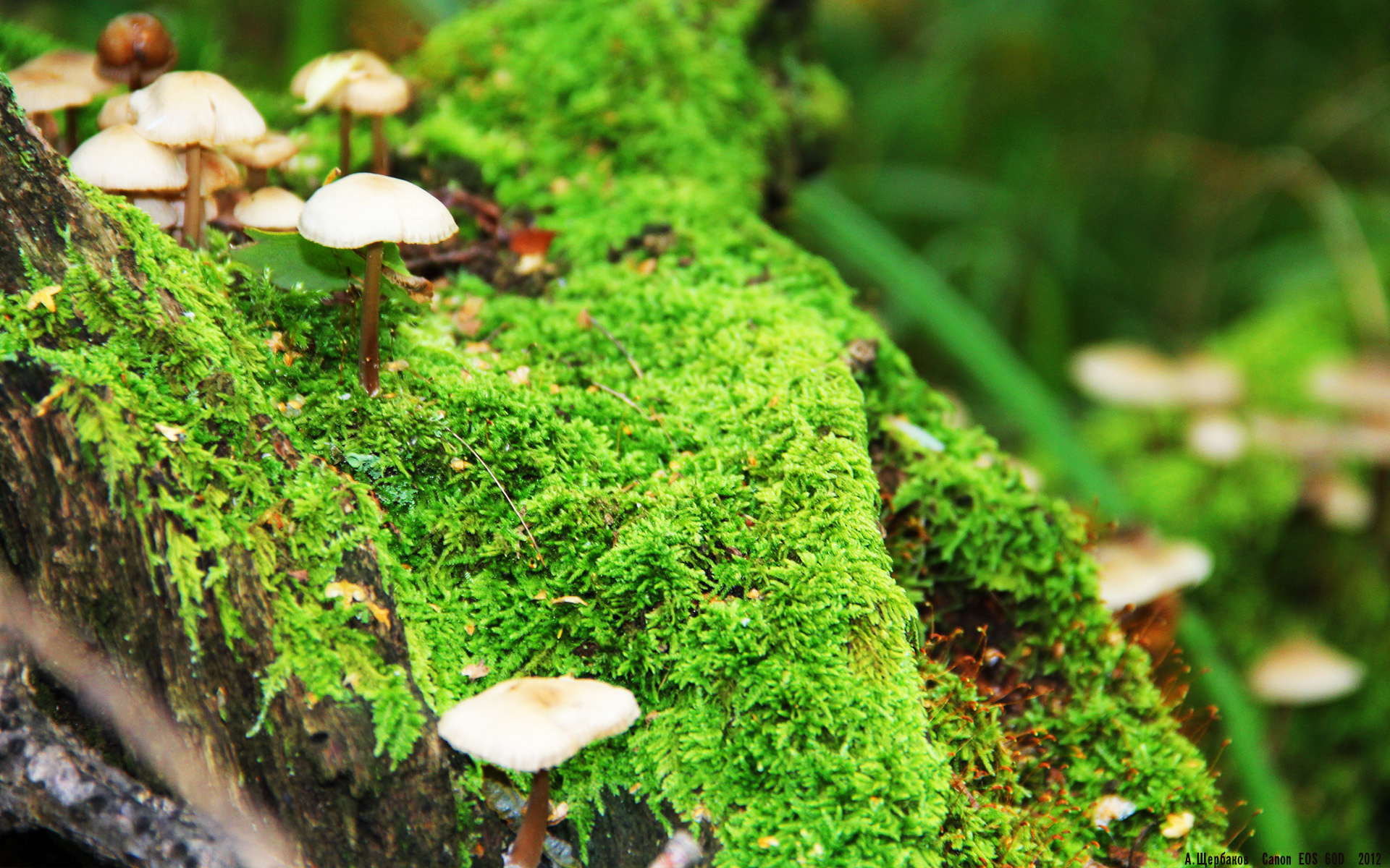 开云官方网站-国家队核心位置缺乏长期培养计划，国家队核心竞争力