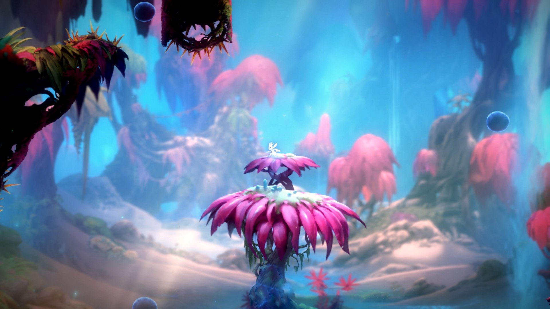 KAIYUN 中国大陆-“亚戈·卡尔曼：阿根廷美洲狮队的全能后卫，未来值得期待”